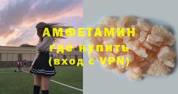 шишки Богородицк