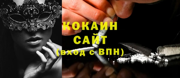 шишки Богородицк