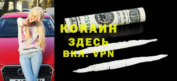 шишки Богородицк