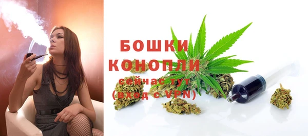 первитин Богданович