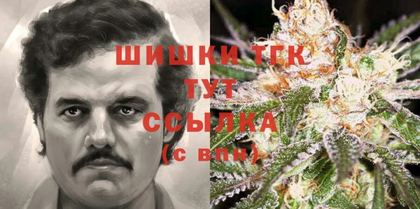 шишки Богородицк