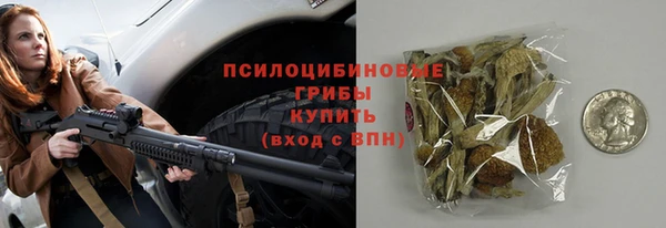 шишки Богородицк