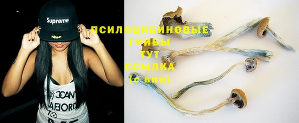 первитин Богданович