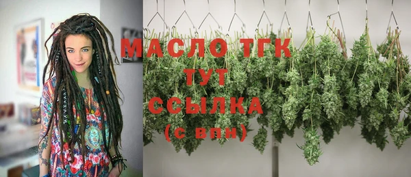 шишки Богородицк