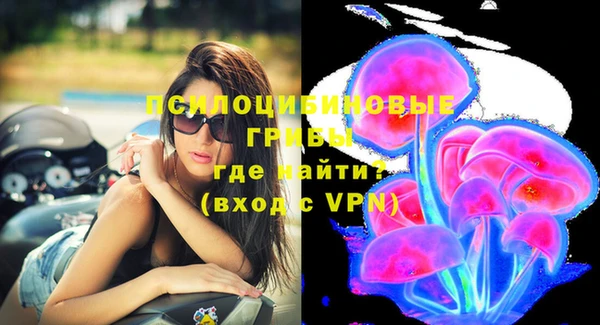 шишки Богородицк