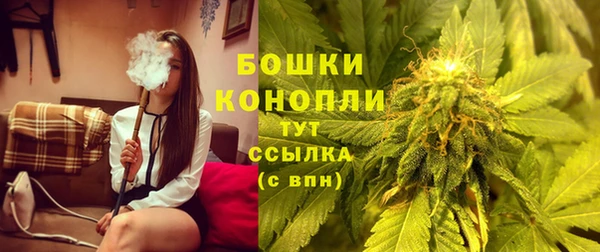 ECSTASY Белокуриха