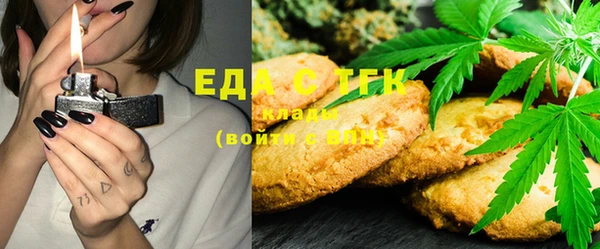 шишки Богородицк