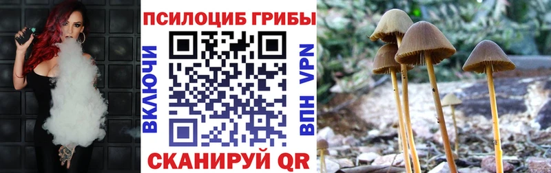 OMG ONION  где продают наркотики  Углич  Галлюциногенные грибы GOLDEN TEACHER 